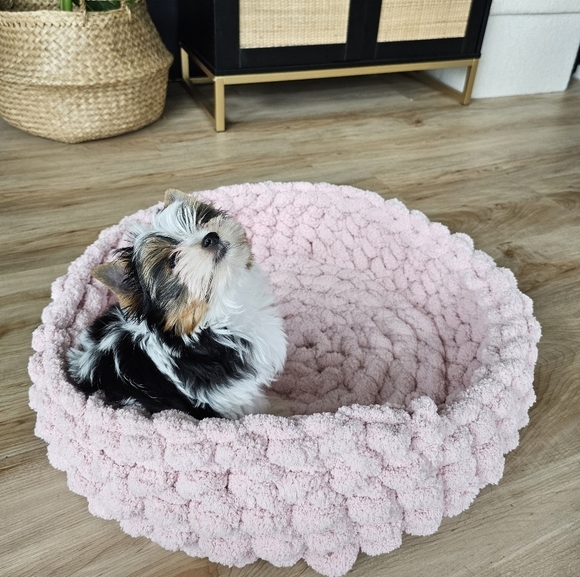 Other - Hand Knitted Chenille Yarn Pet Beds Size  Medium